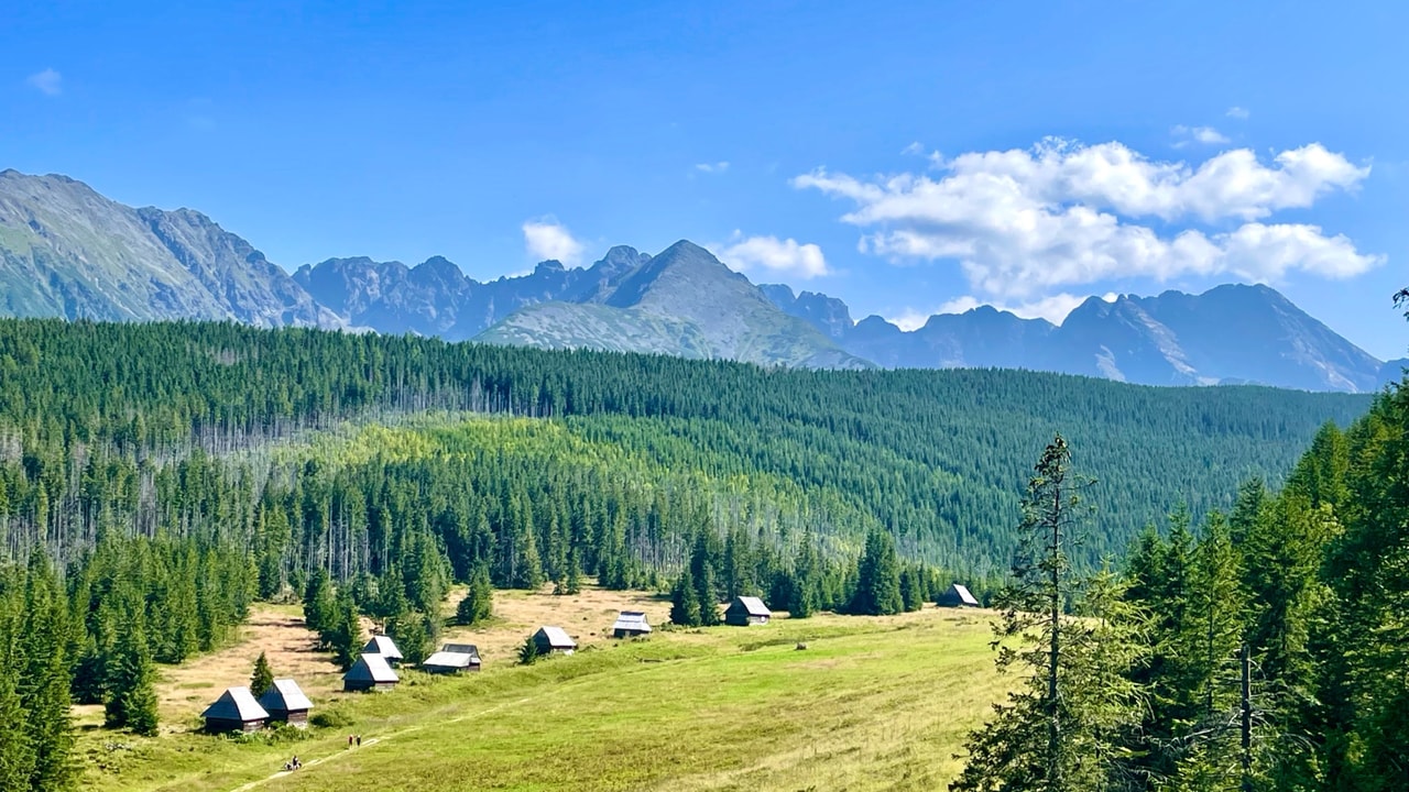 Relacje 1