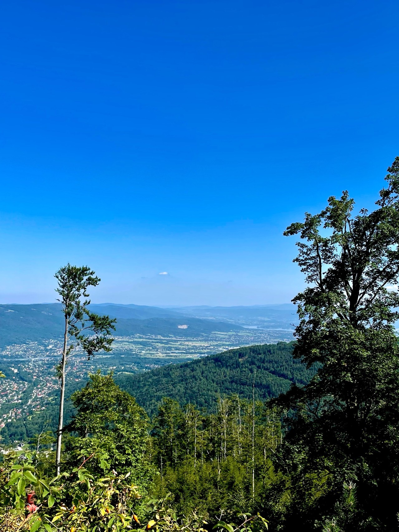 Relacje 1