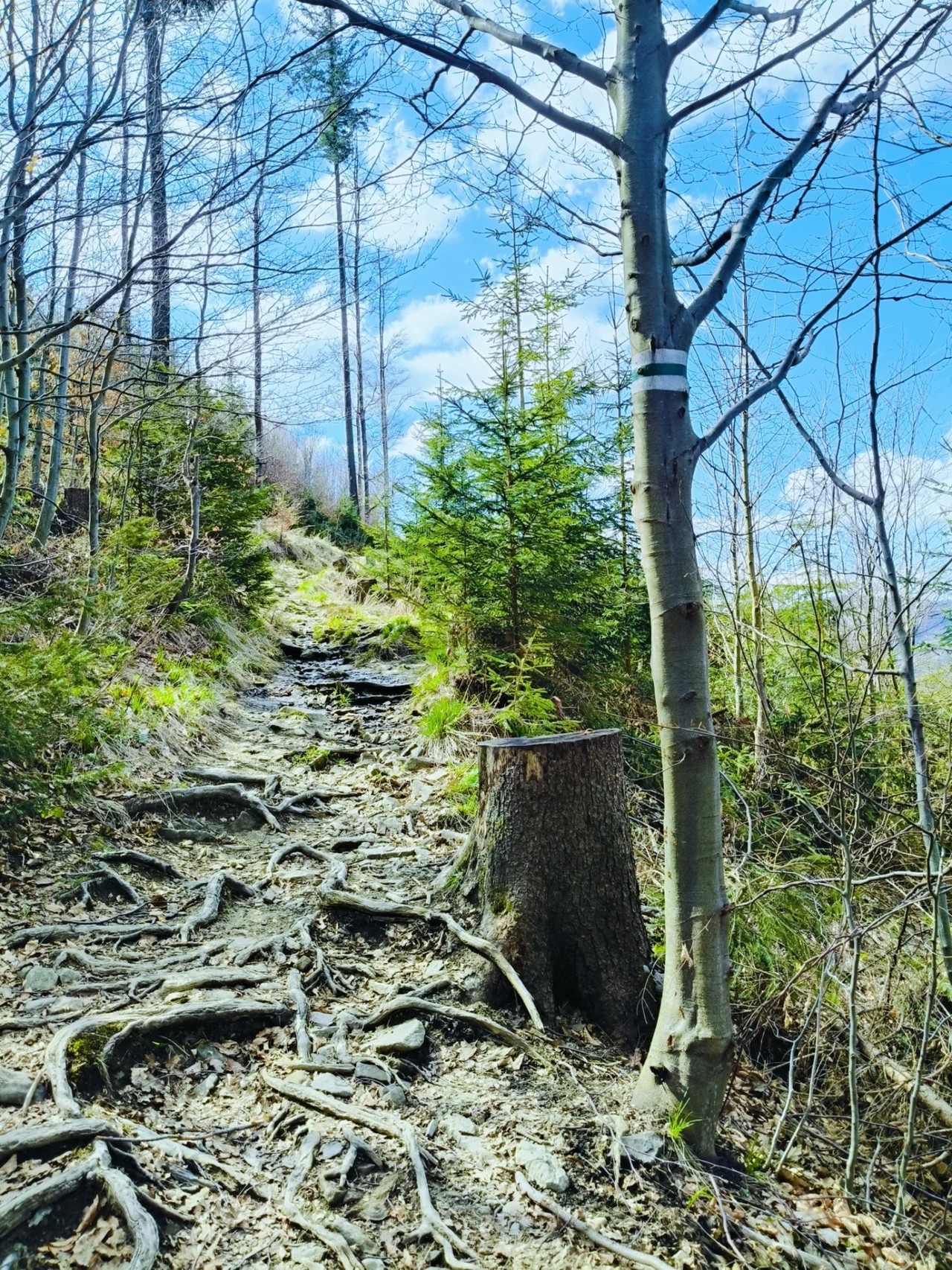 Relacje 1
