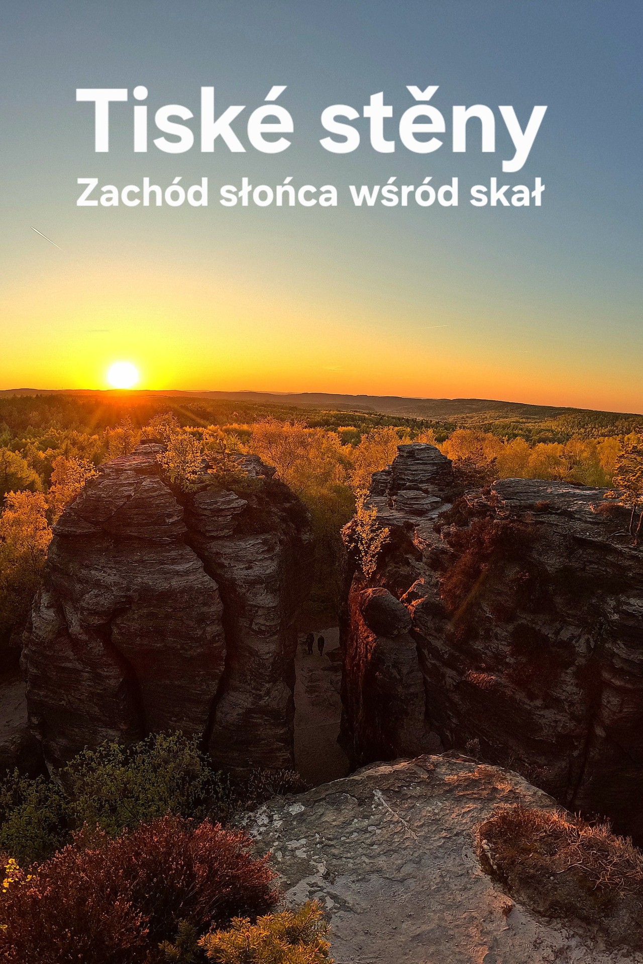 Relacje 1