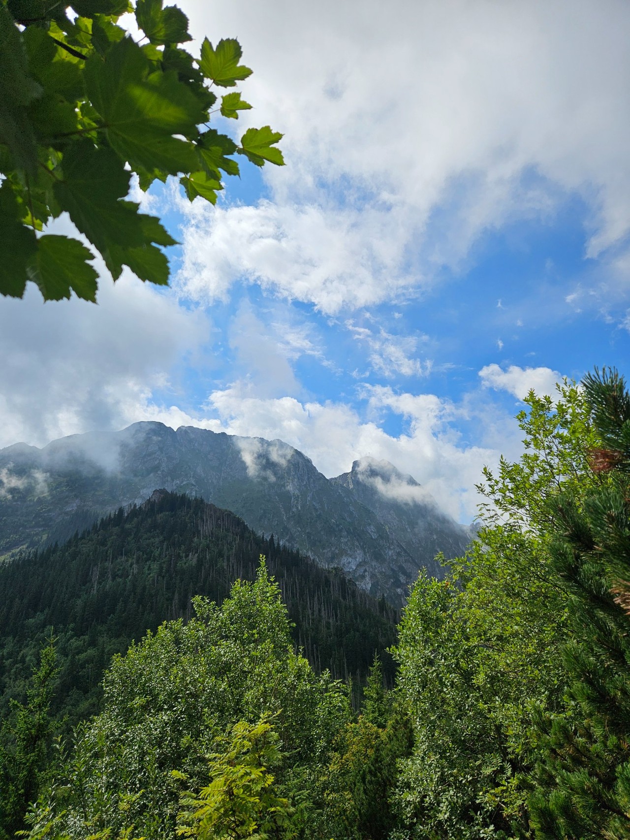 Relacje 1