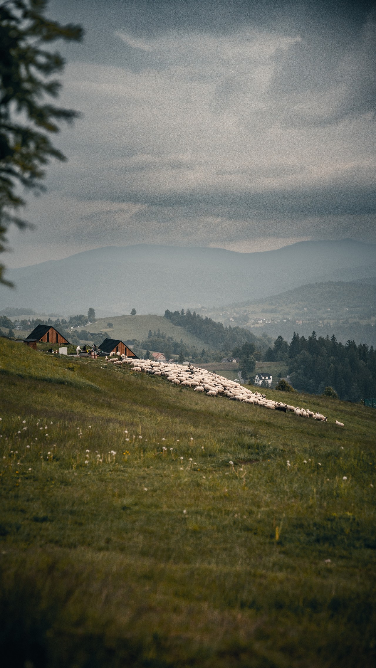 Relacje 1