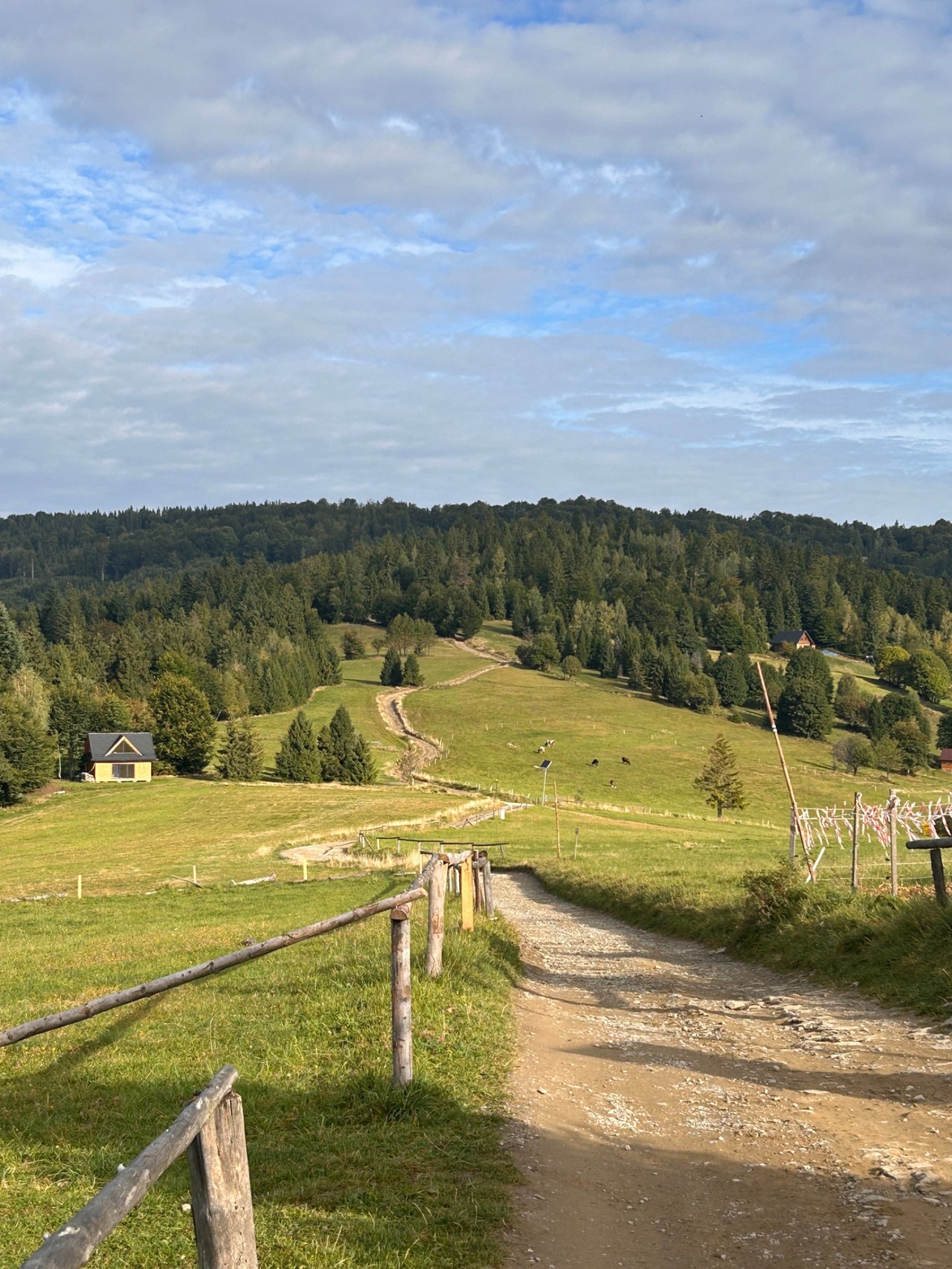 Relacje 2