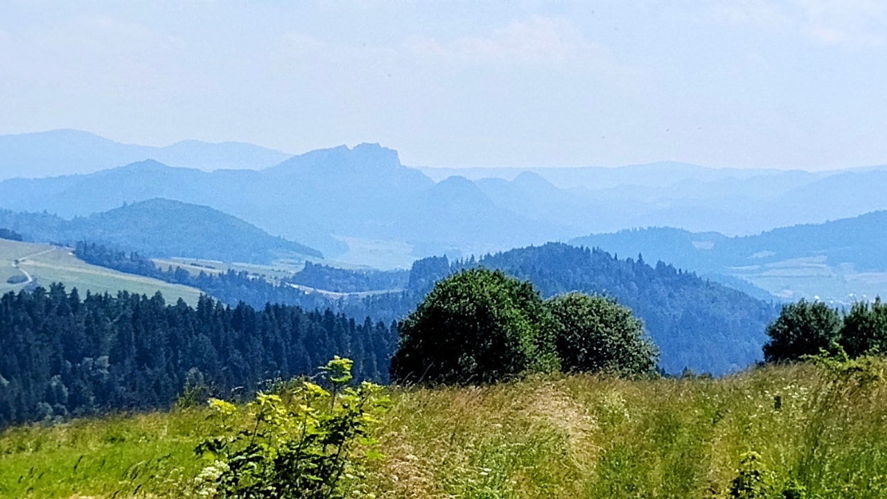 Relacje 2