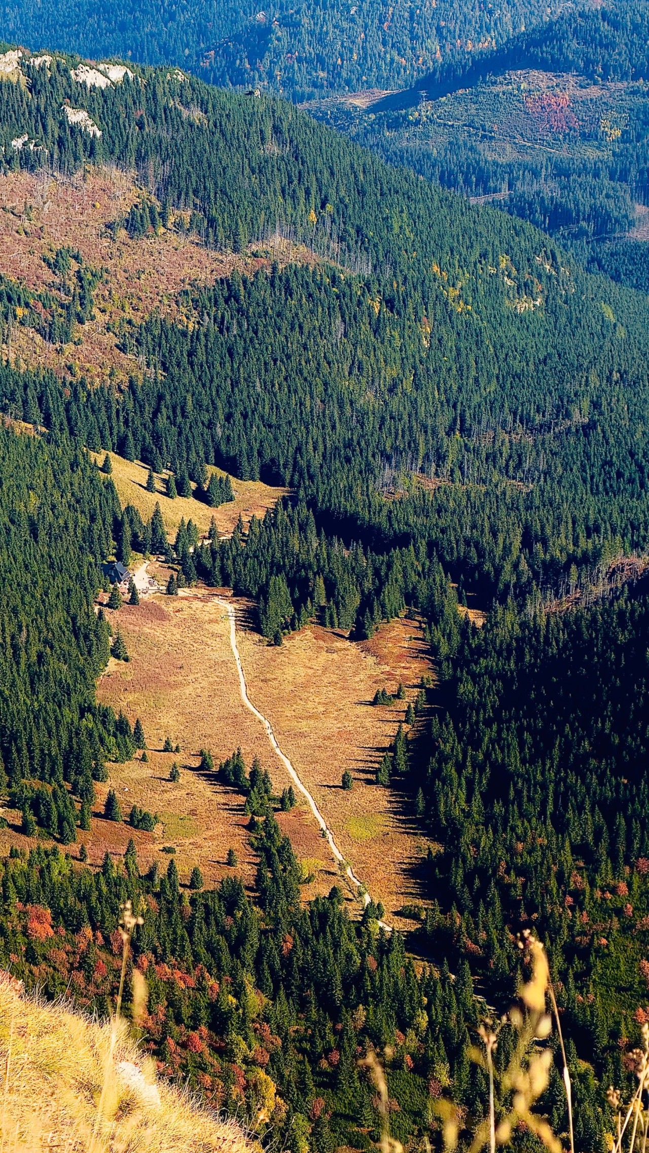 Relacje 1