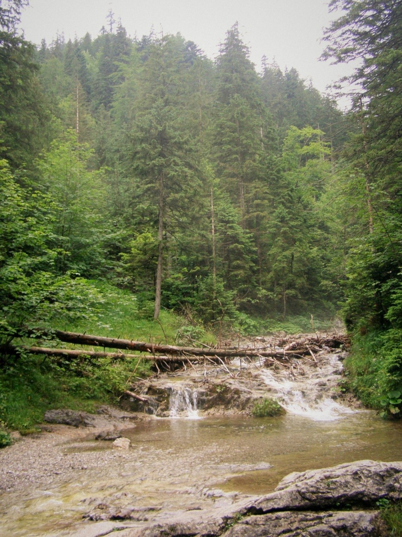 Relacje 1