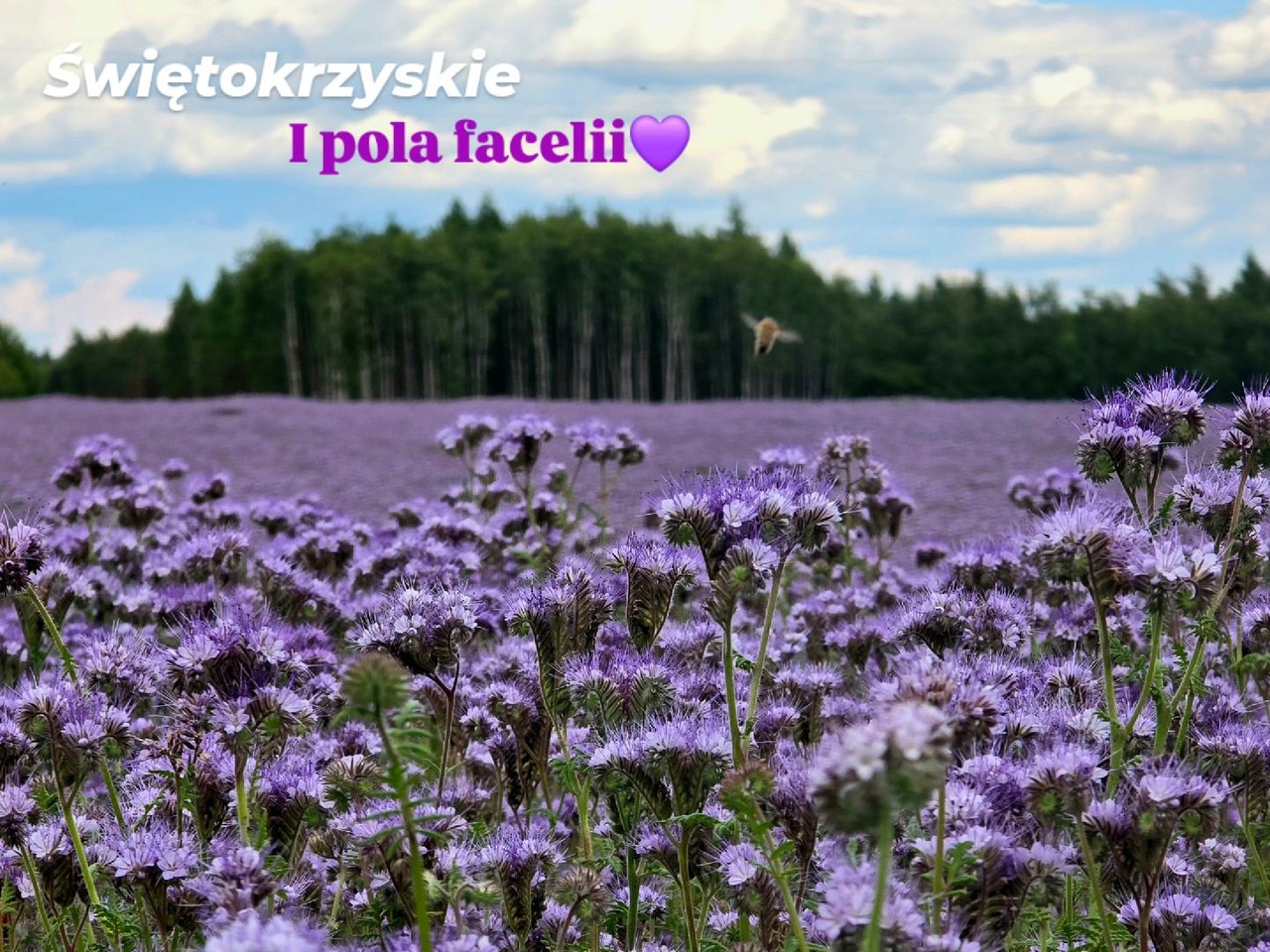 Relacje 1