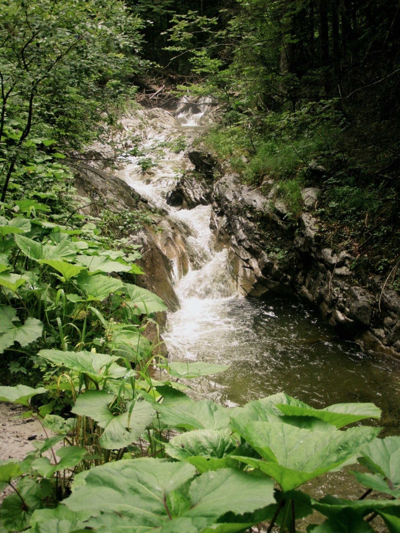 Relacje 2