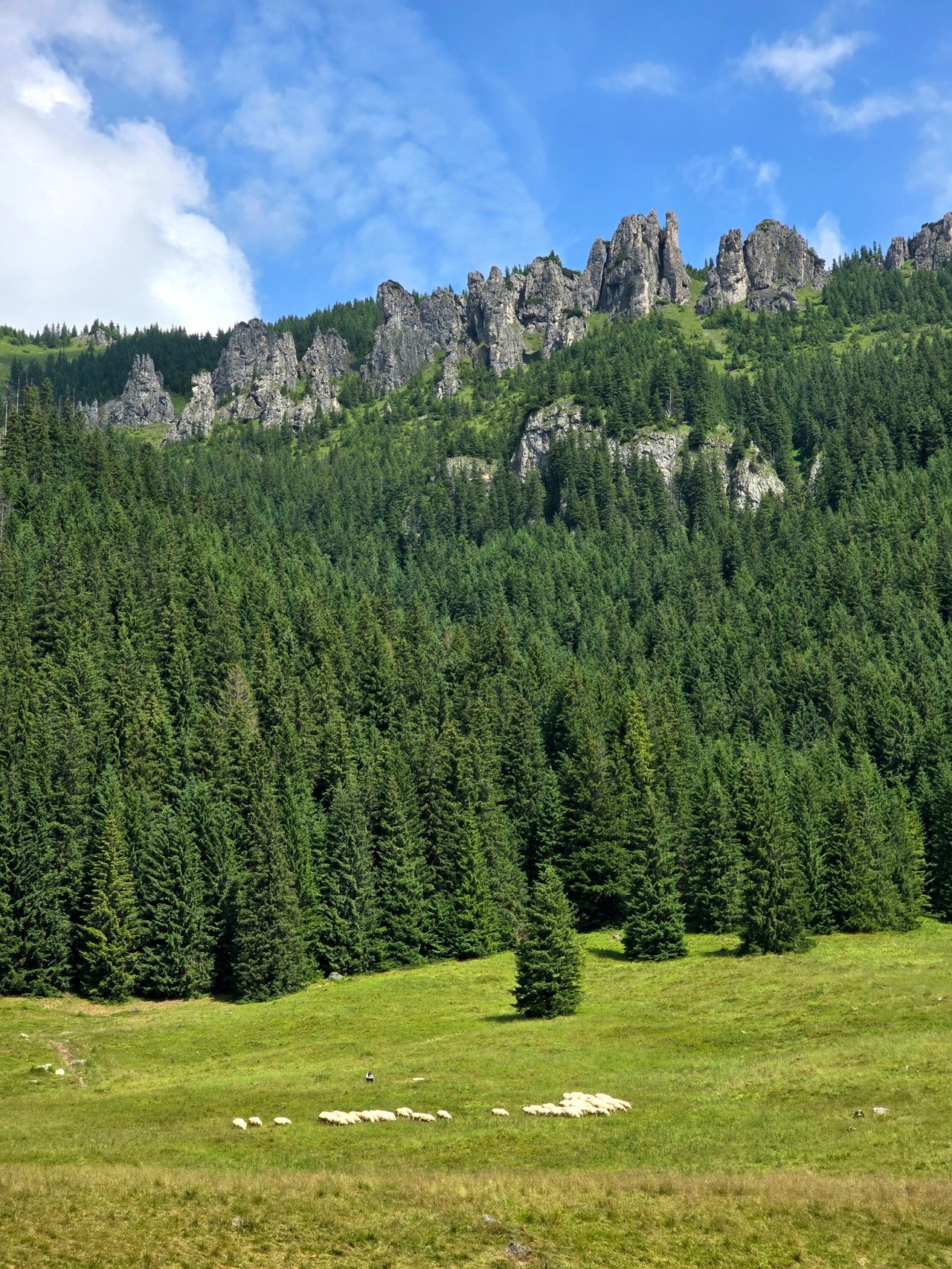 Relacje 1