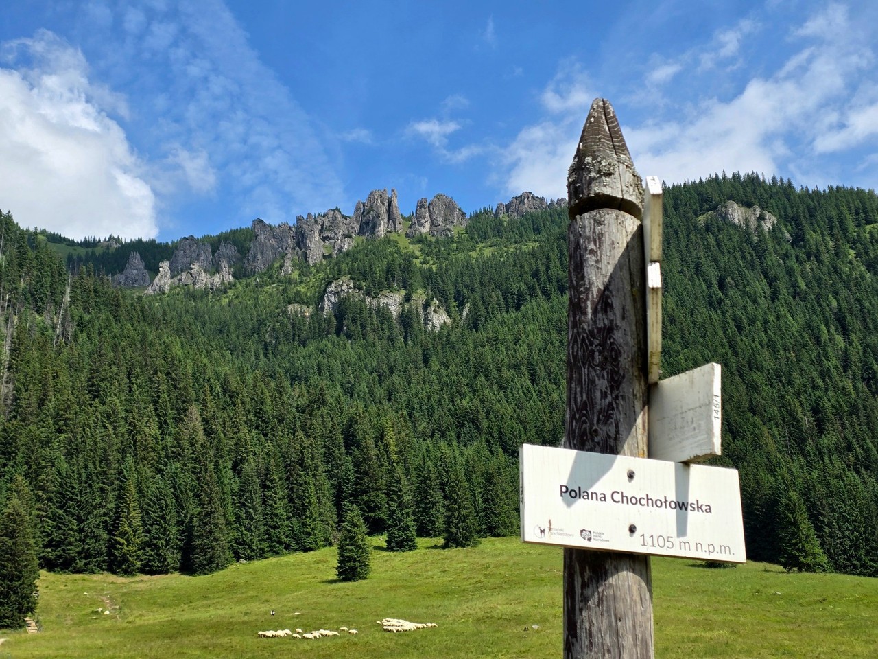 Relacje 2
