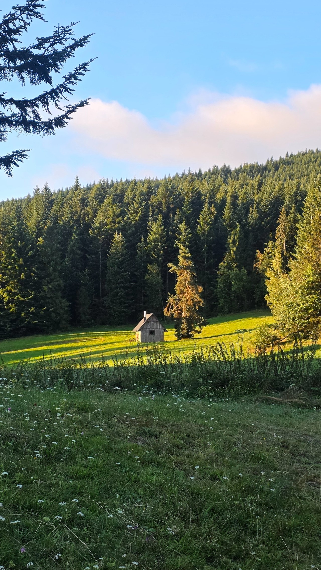 Relacje 1