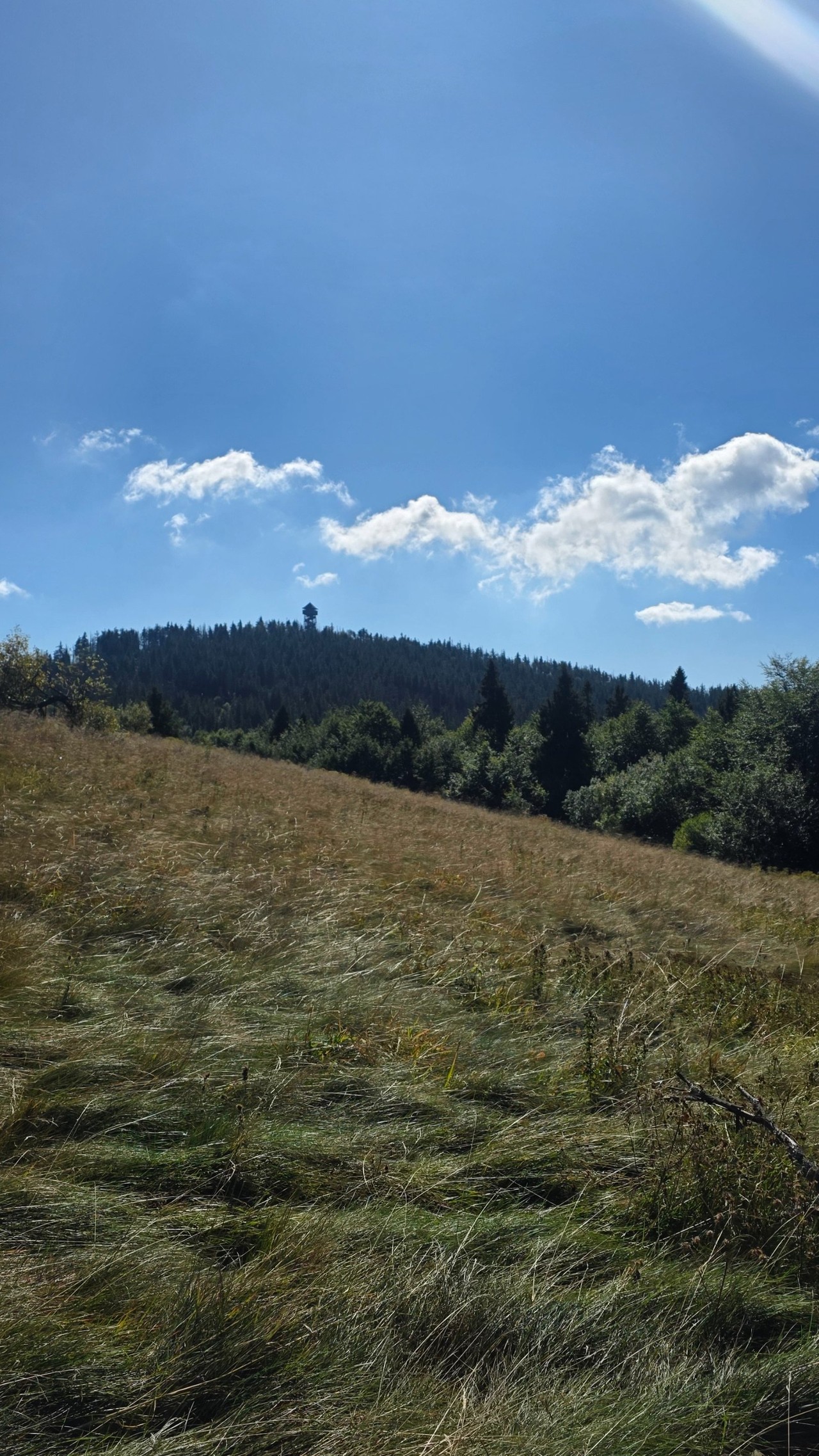 Relacje 1