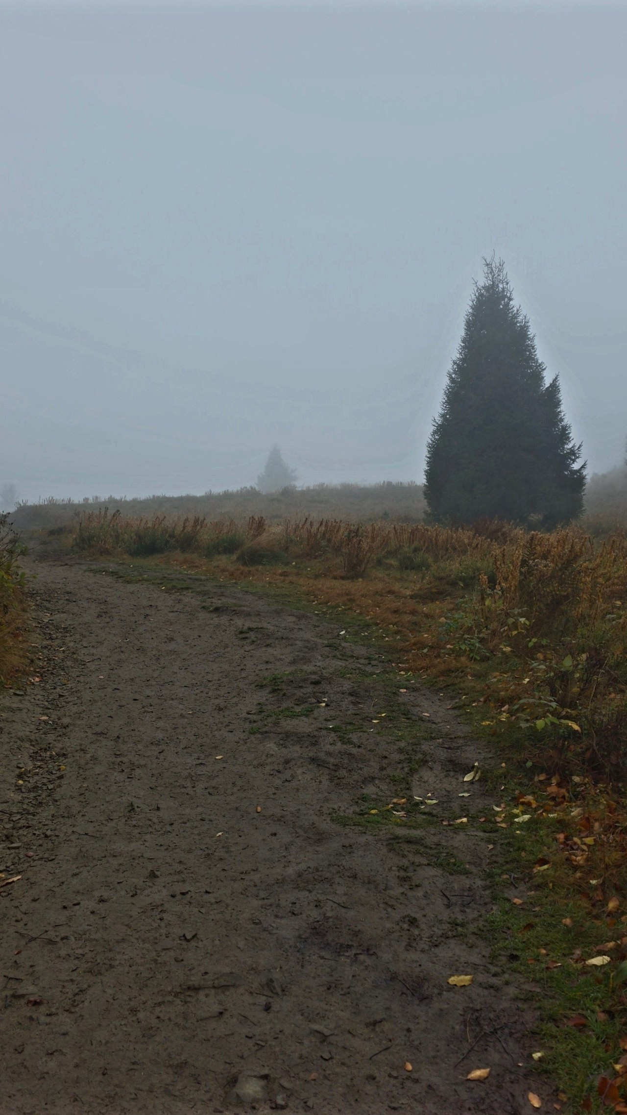 Relacje 1