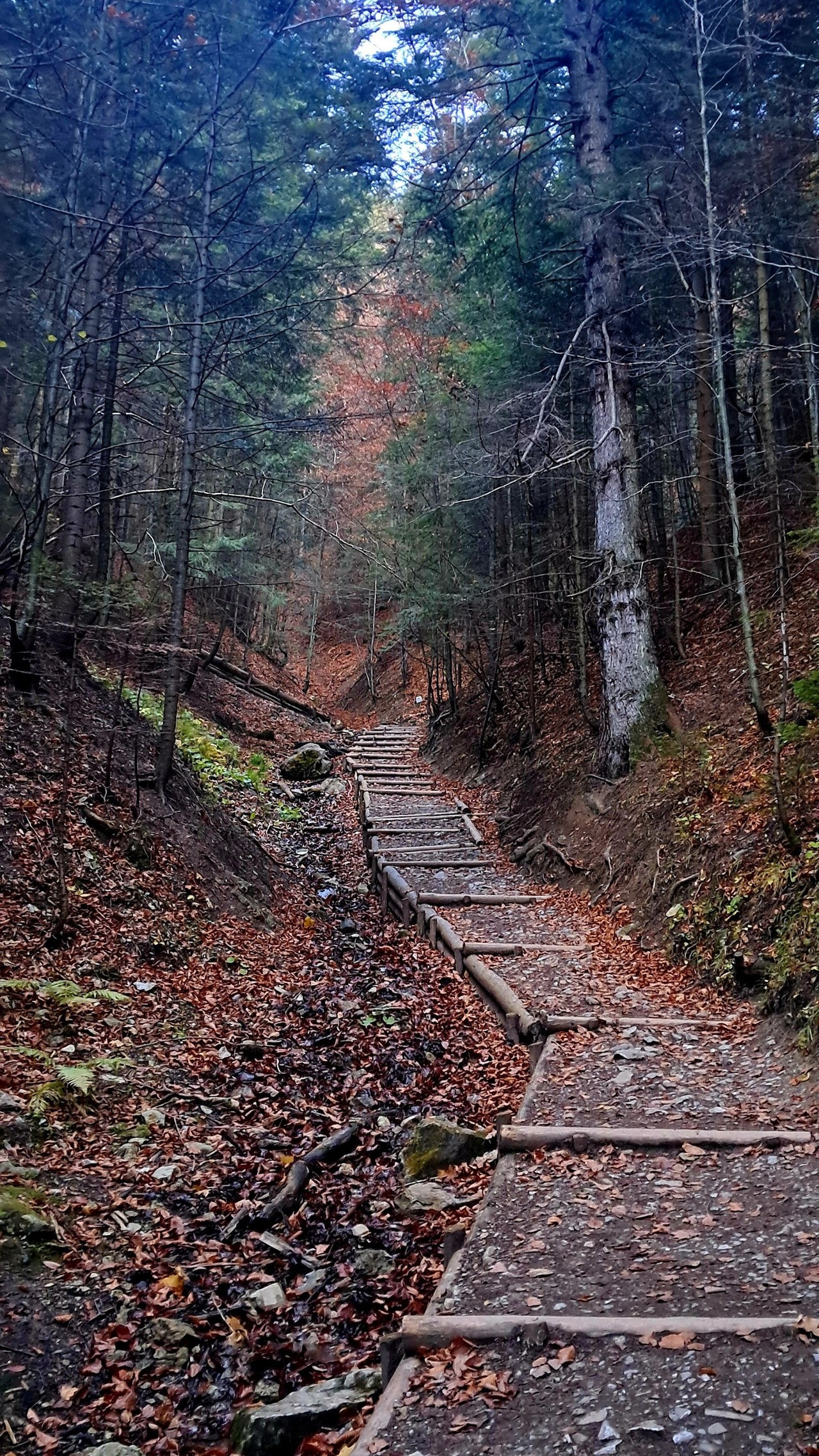 Relacje 2
