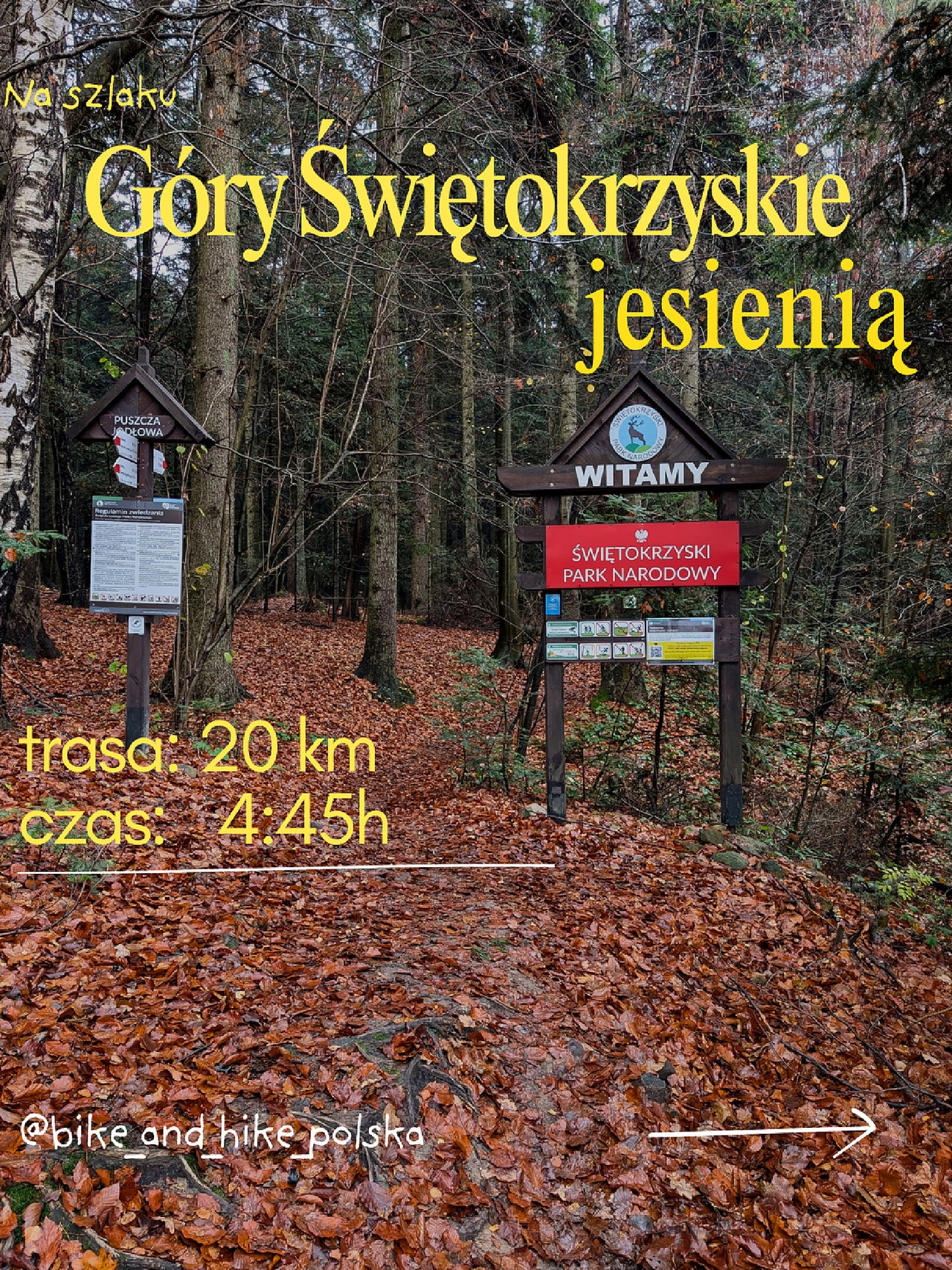 Relacje 1