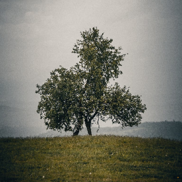 międzyszczytami