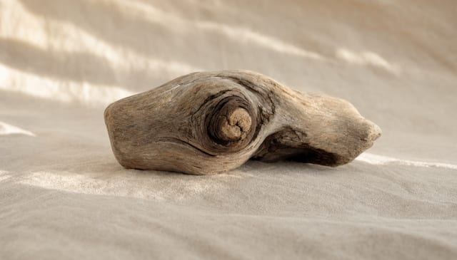 A knot in a piece of weathered driftwood on cream linen