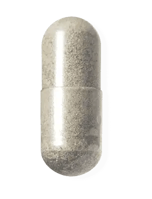 Daily Probiotic