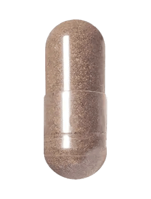 Elderberry