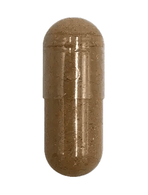 Fenugreek
