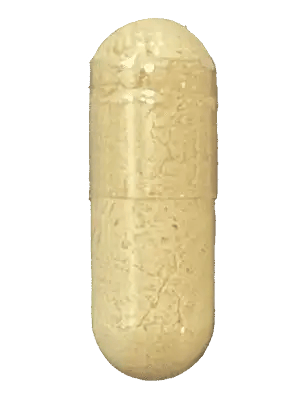 Ginger Root