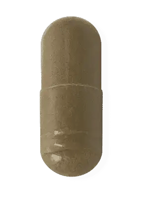 Green Coffee Extract