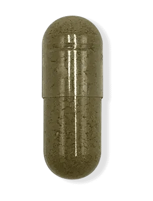 Herbal Sleep Blend