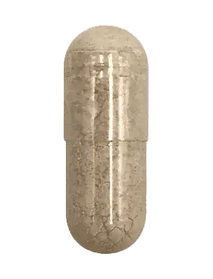 N-Acetyl Cysteine (NAC)