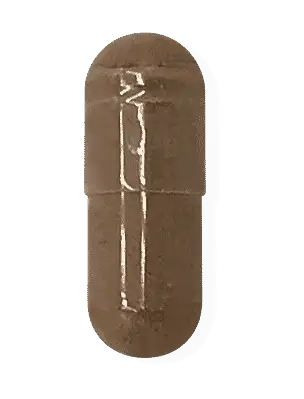 Rhodiola