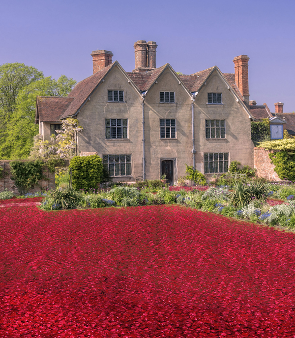 rose-garden