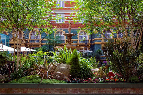 51-courtyard-garden