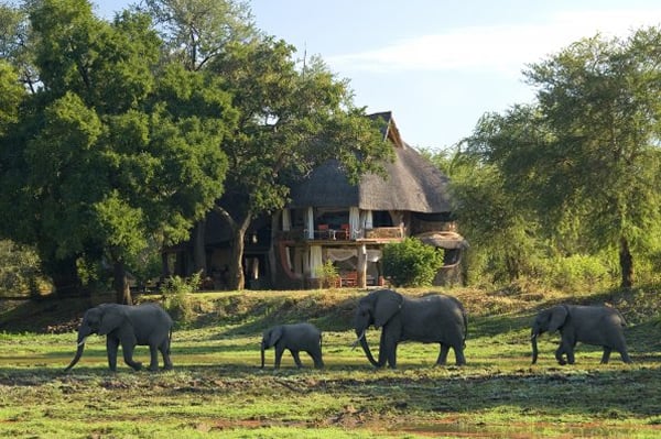 million-dollar-safari-7