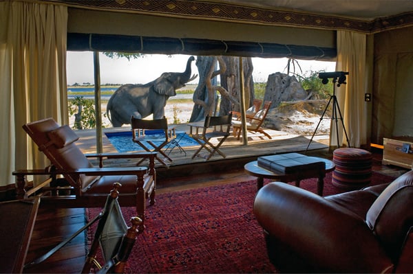 million-dollar-safari-9
