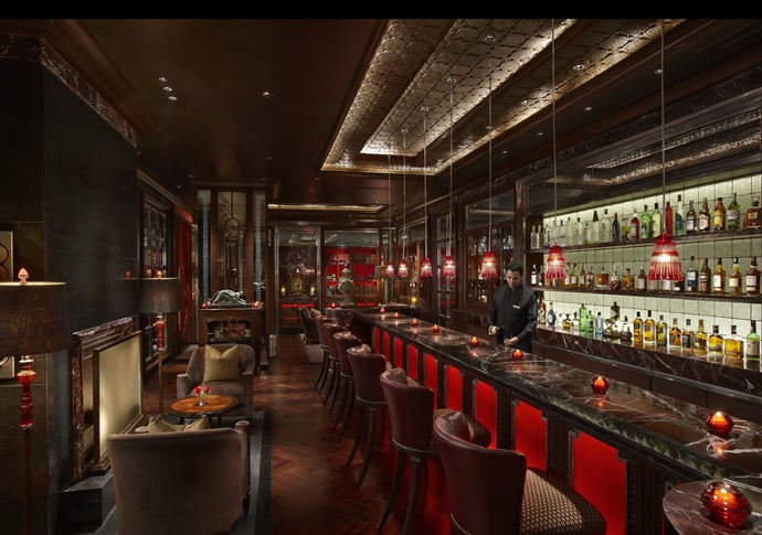 leela-library-bar-2