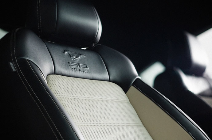 2015-ford-mustang-50-years-convertible-12