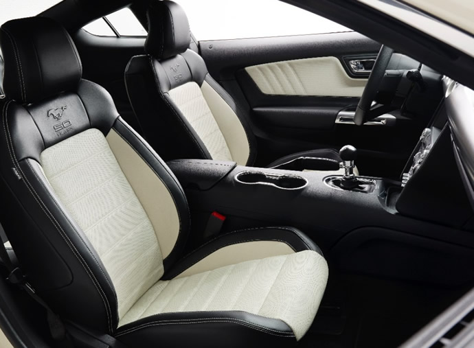 2015-ford-mustang-50-years-convertible-9