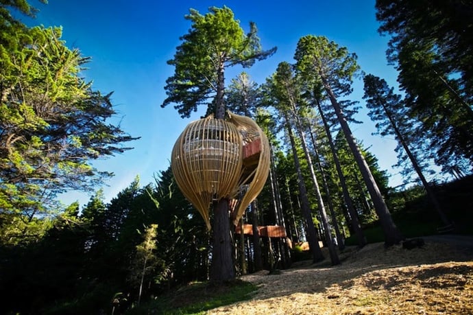 Heights of fine dining: A Treehouse Restaurant suspended 130 feet high in the sky at Auckland, New Zealand