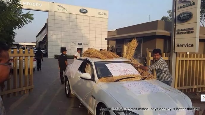 jaguar-india-donkey-2