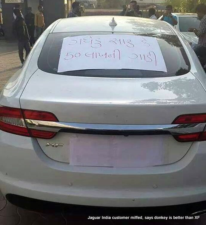 jaguar-india-donkey-4