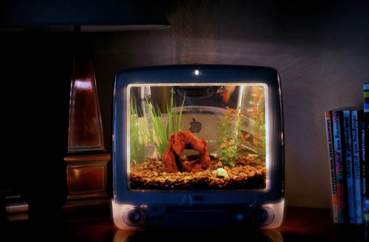 Macquarium: an old Apple iMac G3's candy-colored body recycled