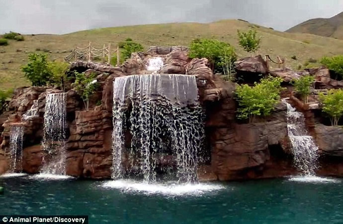 utah-swimming-pool-1