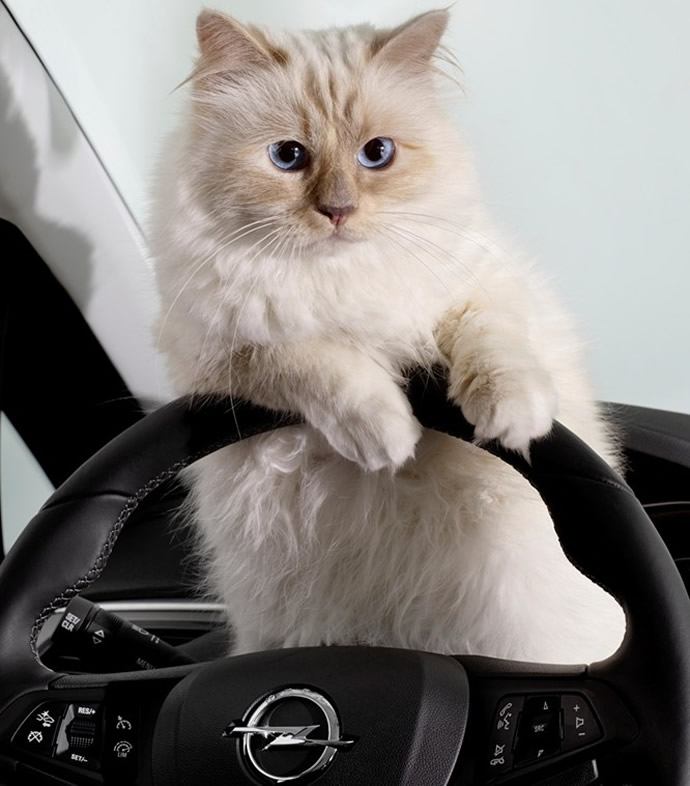 opel-corsa-calendar-karl-lagerfeld-1
