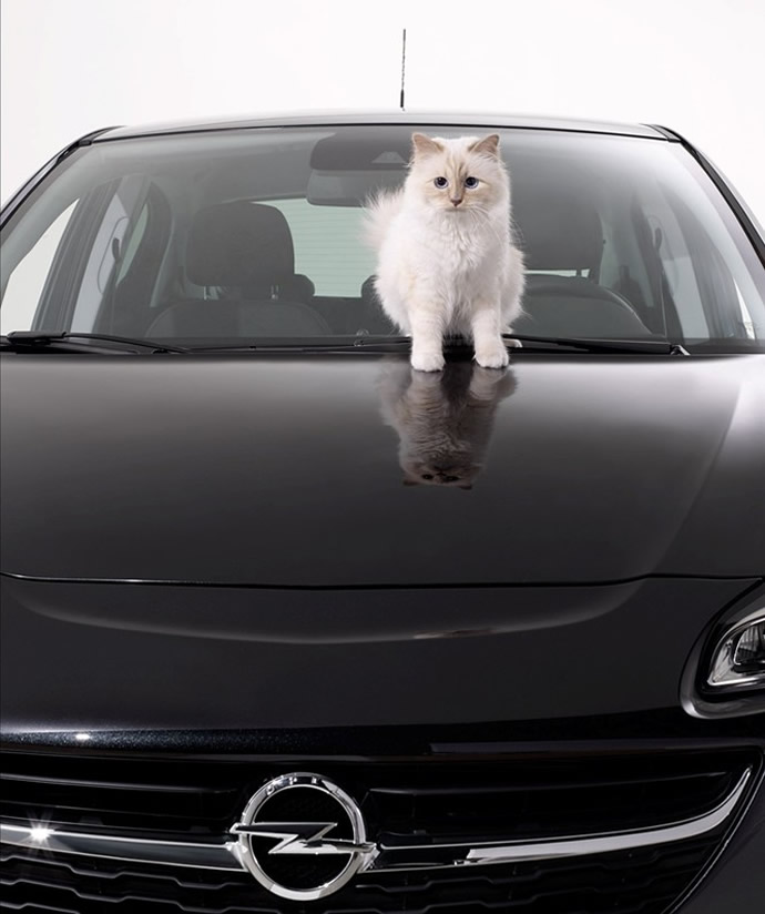opel-corsa-calendar-karl-lagerfeld-2