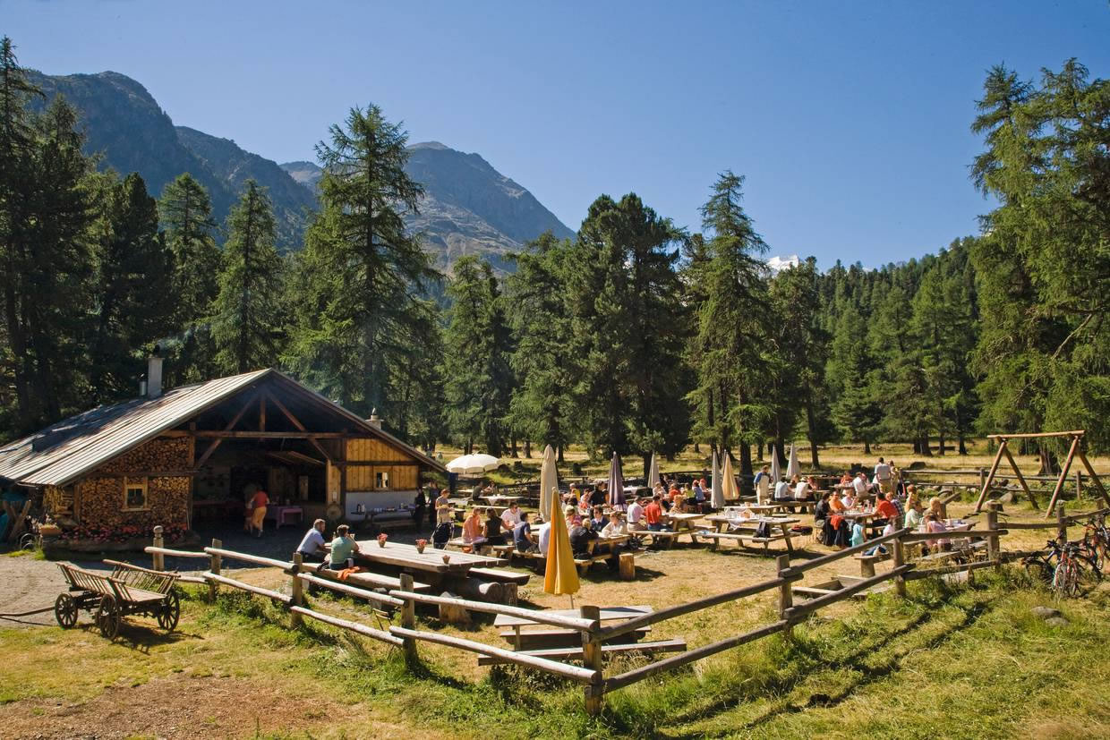Alpine-Cheese-Dairy-st-moritz-9