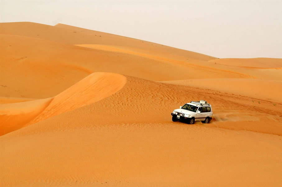 Desert-Safari-8
