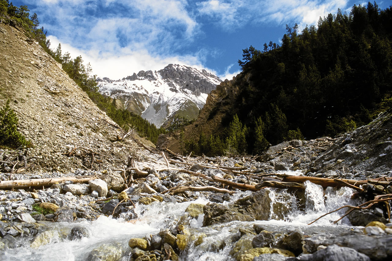 Swiss-National-Park-St-Moritz-1