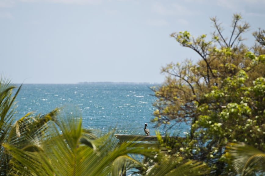 Itz-ana-Resort-and-Residences-Belize (3)