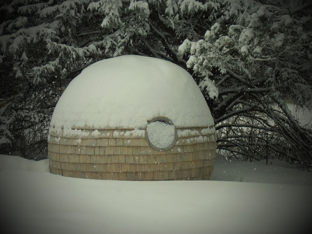 Podzook personalized pod 6
