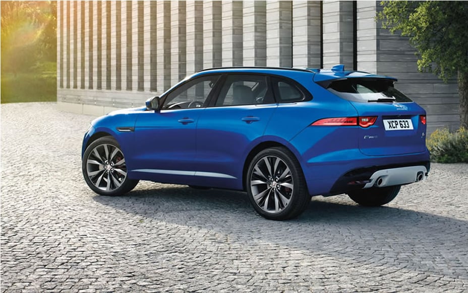 jaguar