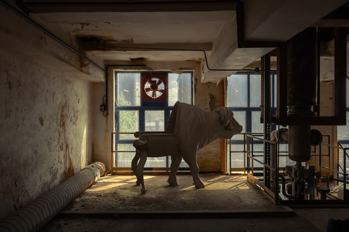 chair 7